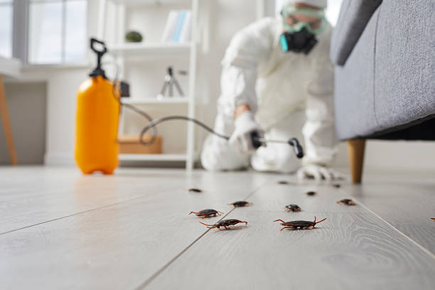 Trusted Cockroach Control service in Rice Lake, WI - Nex Pest Control